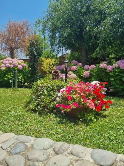 Desconectarse De La Ciudad * Rancagua
