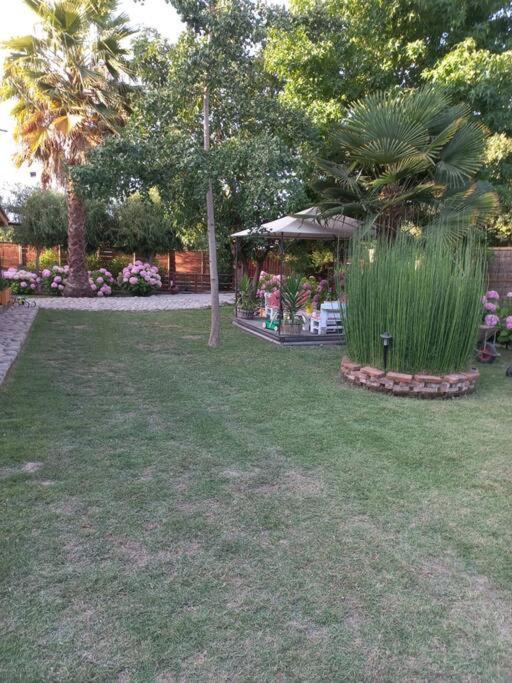 Casa de férias Desconectarse De La Ciudad Rancagua