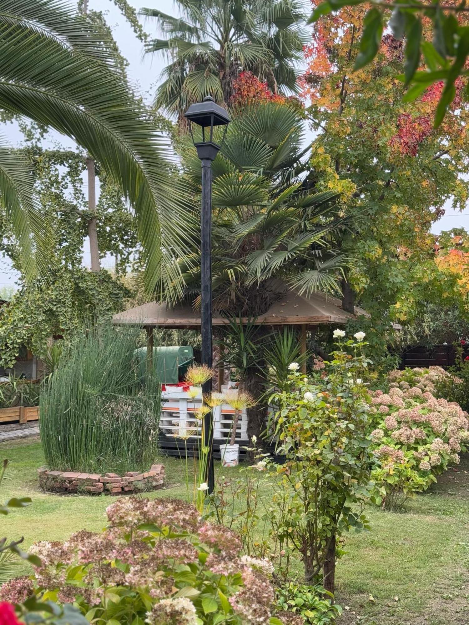 Casa de férias Desconectarse De La Ciudad Rancagua